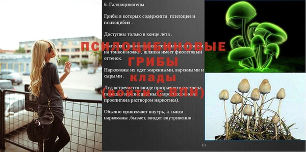 каннабис Аркадак