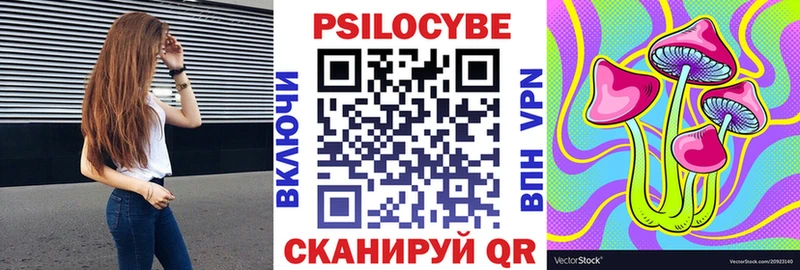 купить наркоту  omg маркетплейс  Псилоцибиновые грибы мицелий  Бирюсинск 